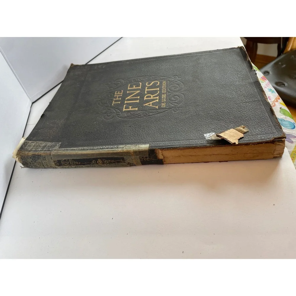 The Fine Arts De Luxe Edition 1907 National Art Society Antique Art History Book